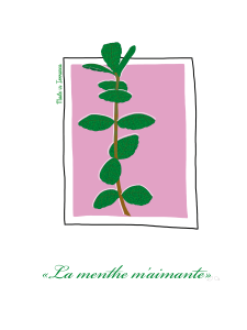 Affiche 30x40cm Aromate mediterranee menthe Claire sur la mer