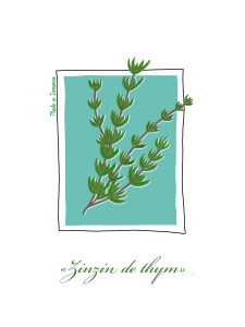 Poster Thym 30x40cm