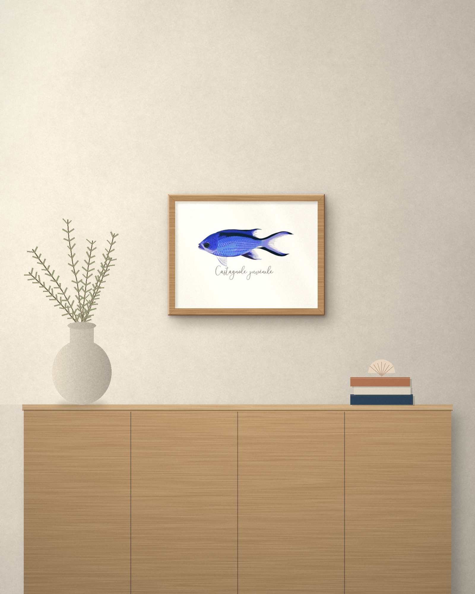 Affiche 30x40 cm Castagnole Juvénile - Collection "Les poissons de la Côte Méditerranéenne" – Image 3